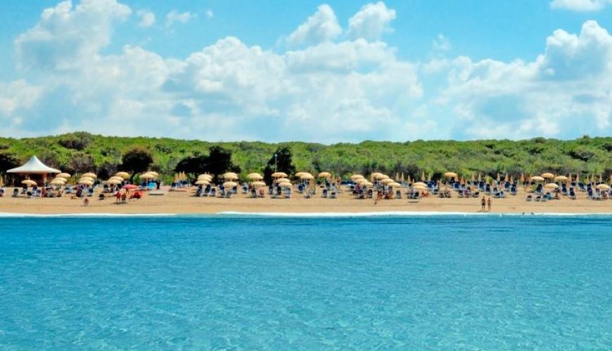 viaggia in tutta italia con noi